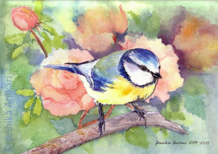 Sinitiainen siirtolapuutarhassa